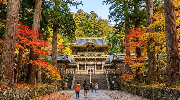 栃木県のチョコザップ